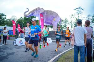 BIB: 
                            <button type="button" onclick="openModal(26551647)" class="btn btn-primary btn-sm float-right btn-popup" data-toggle="modal" data-target=".modal-high-quality">
                        <i class="fas fa-shopping-cart"></i> Add to Cart
                    </button>
                                            <button type="button" onclick="isThisMe(26551647, true)" class="btn btn-success btn-sm float-right btn-popup btn-isme hidden" data-toggle="tooltip" data-placement="bottom" title="นี่คือรูปของคุณใช่ไหม คลิกที่นี่เพื่อเอาเข้าอัลบั้ม">
                        <i class="fas fa-plus"></i> Add to album
                    </button>
                    <button type="button" onclick="isThisMe(26551647, false)" class="btn btn-warning btn-sm float-right btn-popup btn-isnotme hidden">
                        <i class="fas fa-ban"></i> Remove from album
                    </button>